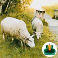 thumbnail image 4 of Dispensador automático de agua para ovejas y cabras Bebedero para ganado Bebedero para animales de granja Comedero para ovejas Bebedero automático para animales Bebedero para ganado vacuno y ovino, 4 of 7