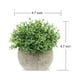 thumbnail image 2 of Mini plantas artificiales decorativas de plástico en maceta para decoración del hogar y el jardín., 2 of 7