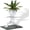 Yoga, variant on Qczoyp Resin Runner Figurine Succulent Planter Pot,Mini Treadmill Running Man Shape Desktop Plant Holder, Creative Fitness Themed Decor for Office Desk Shelf, Unique Gift for Gym Lovers Plant Parents