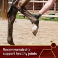 thumbnail image 5 of Vita Flex MSM Horse Supplement, 1 lb, 5 of 5