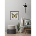 thumbnail image 6 of Parvez Taj "Big Yellow Mariposa" Framed Painting Print, 6 of 6
