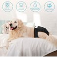 thumbnail image 3 of SHAR Reusable Washable Dog Diapers - Size M, High Water Absorption, Prevents Harassment, Sanitary Pants for Pets, 3 of 5