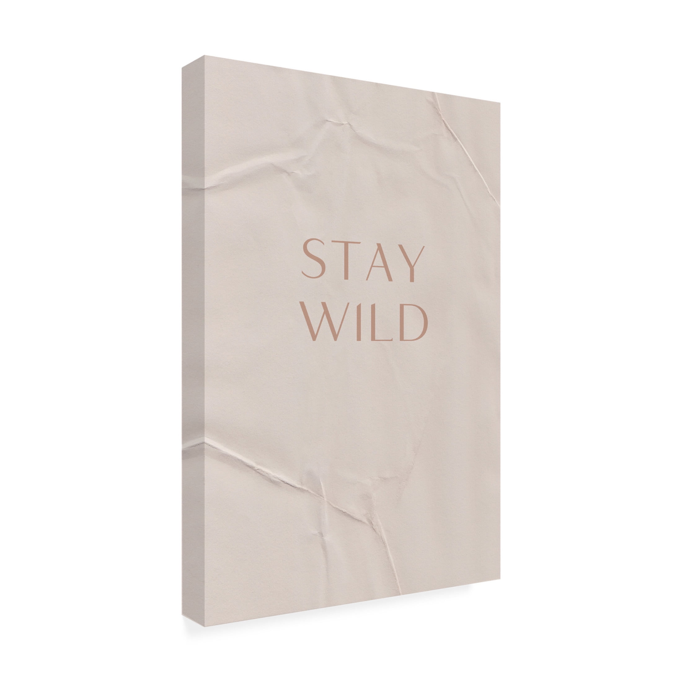 Trademark Fine Art uplusmestudio Stay Wild Canvas Wall Art