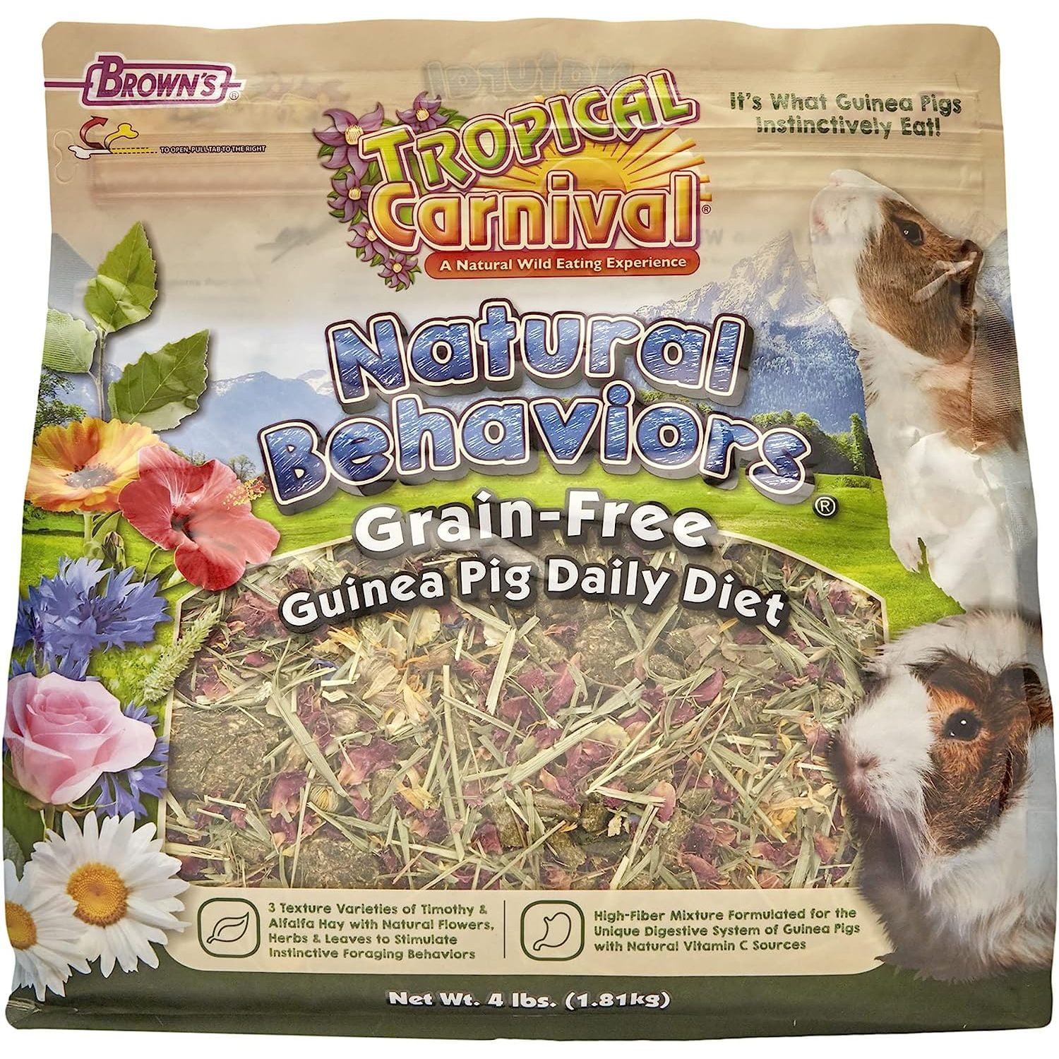 Guinea pig daily diet cheap