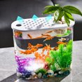 thumbnail image 1 of OULII Living Room Aquarium 1Pack Transparent Plastic Oval For Home Decor, 1 of 6