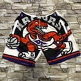 thumbnail image 1 of Mcgee'S Raptors Retro Embroidered Zipper Pocket Shorts Basketball Embroidered Shorts, 1 of 2