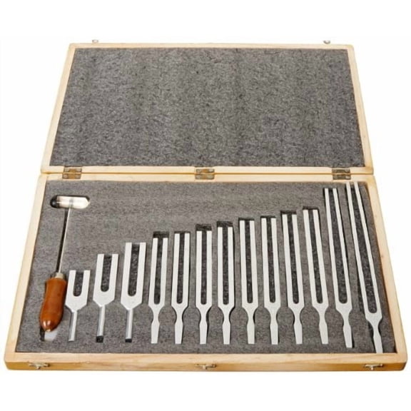 United Scientific Tuning Fork Set of 13 with Dual-Ended Mallet – 13 Aluminum Alloy Forks in Wooden Storage Box – For Sound Wave Physics Science Experiments – Frequencies 100 Hz to