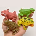 thumbnail image 3 of 4PCS Frog Figure Toy Creative Simulated Funny Squeaky Toy Prank Toy for Kids, 3 of 9