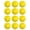 Yellow, variant on Cannon Sports 12-Inch Plastic Softballs – 12 Pack of Official Size Plastic Practice Softballs – Perfect for Hitting, Pitching, Batting, Recreational Play (Yellow)