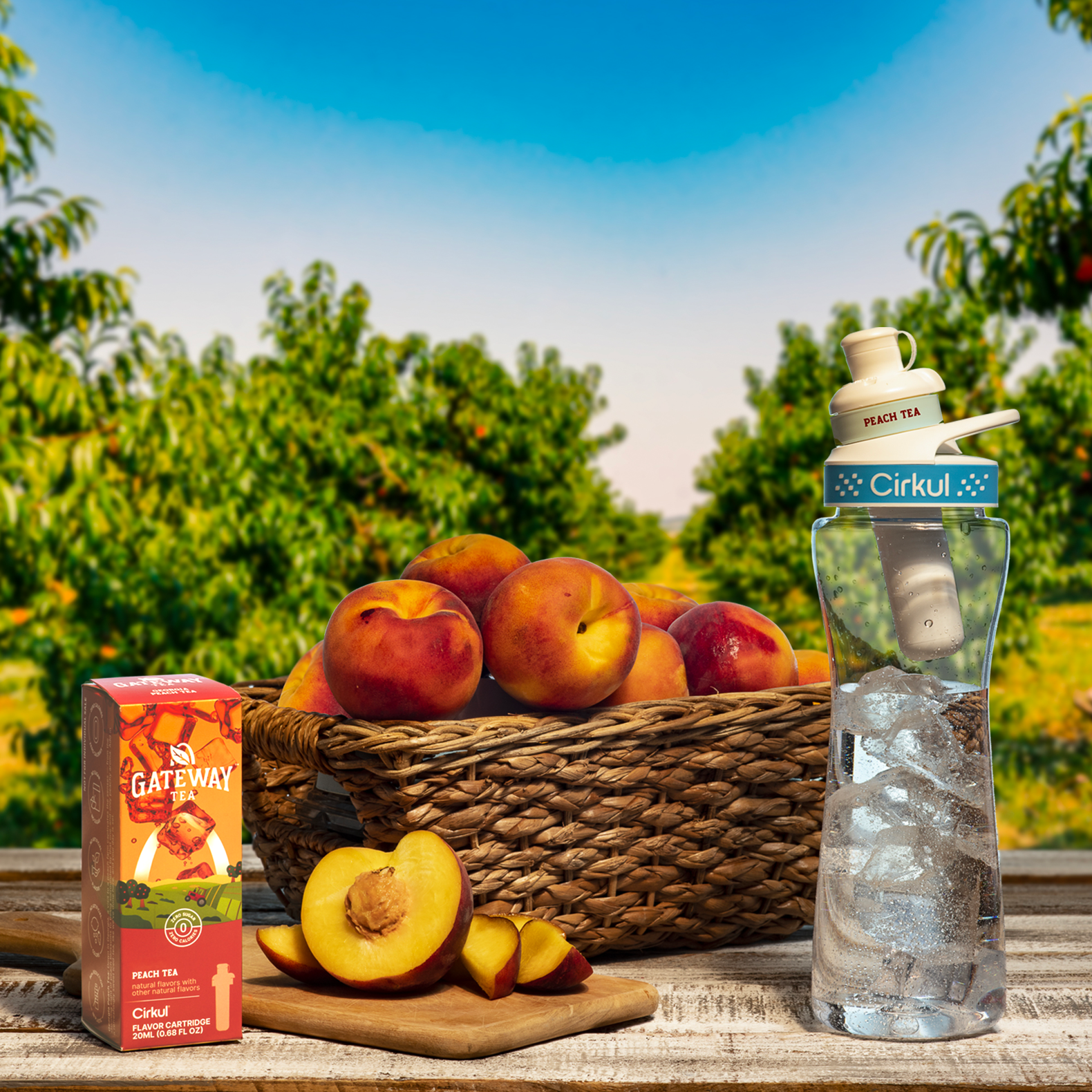  Cirkull 22oz Plastic Water Bottle & 6 Flavor Cartridges (Fruit  Punch - Mixed Berry - Gateway Peach Tea - 3 Random Fitsip Flavor) : Sports  & Outdoors