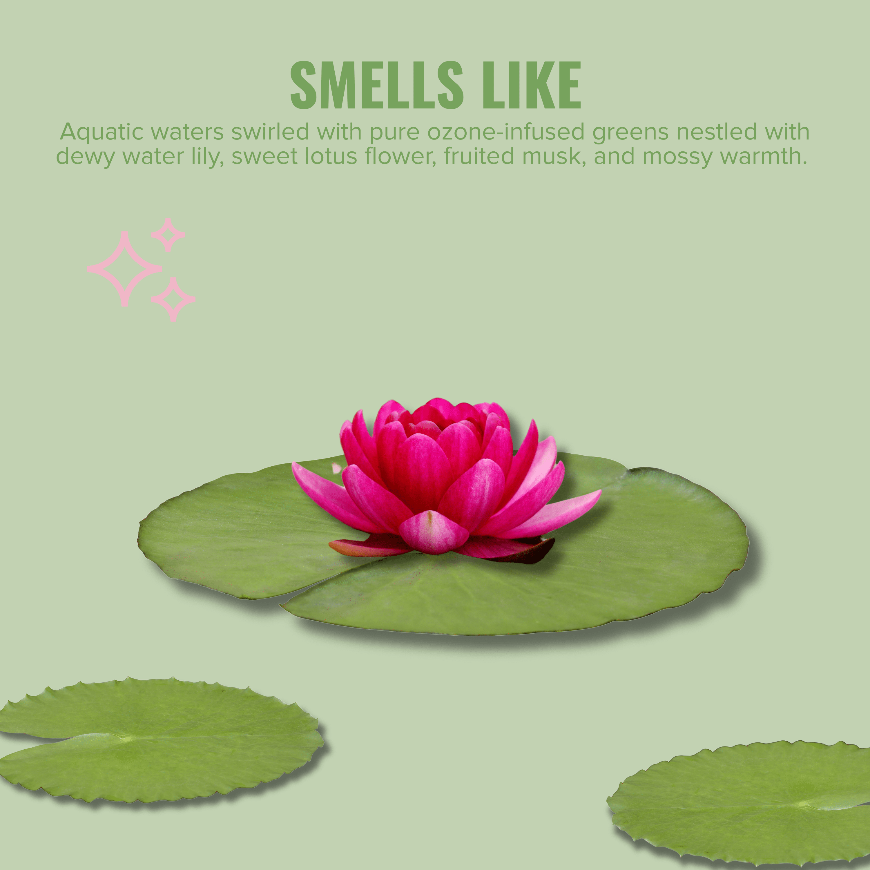 Citrus Magic For Closets Odor Absorbing Solid Air Freshener, Water Lilly, 8-Ounce, Pack of 3
