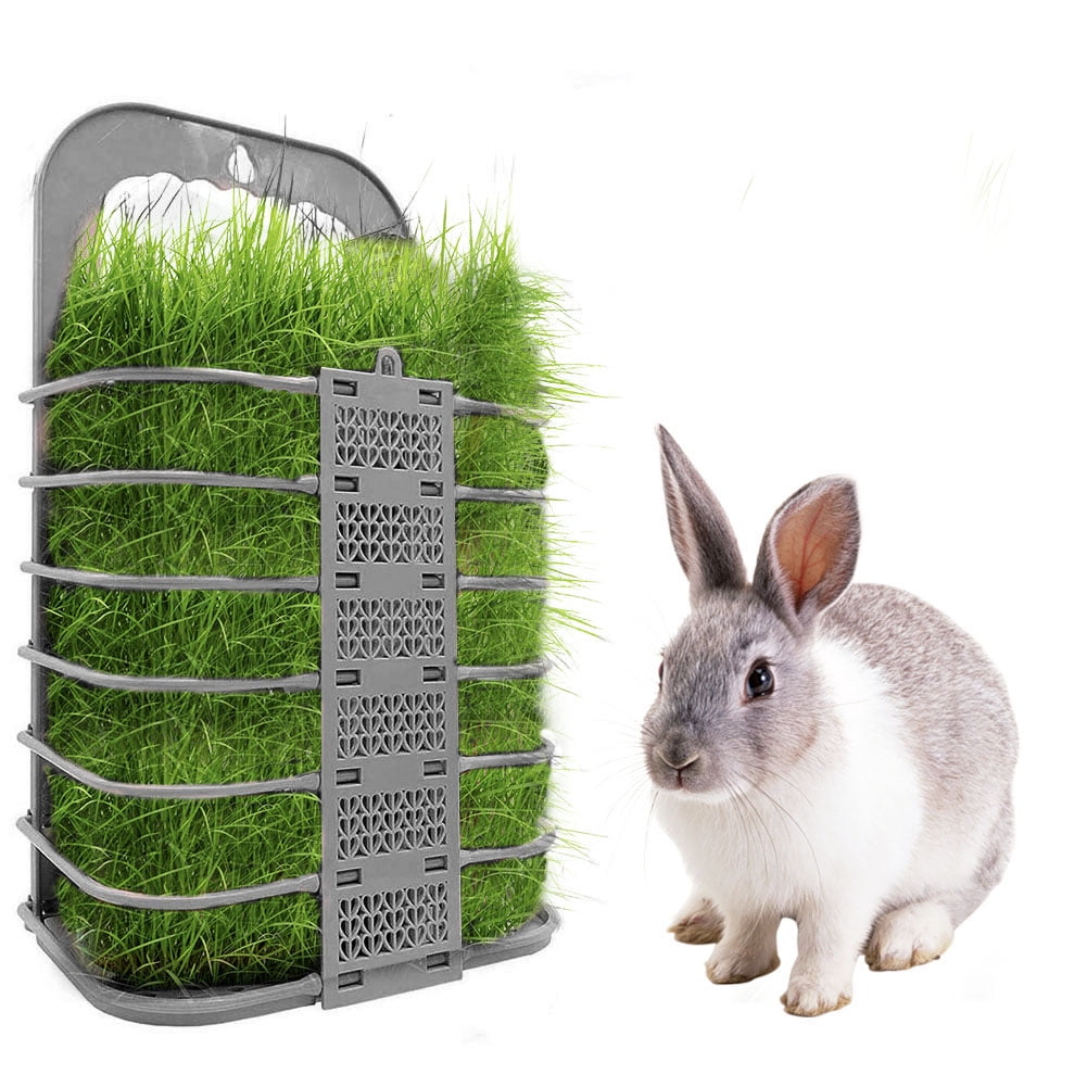 rabbit feeder walmart
