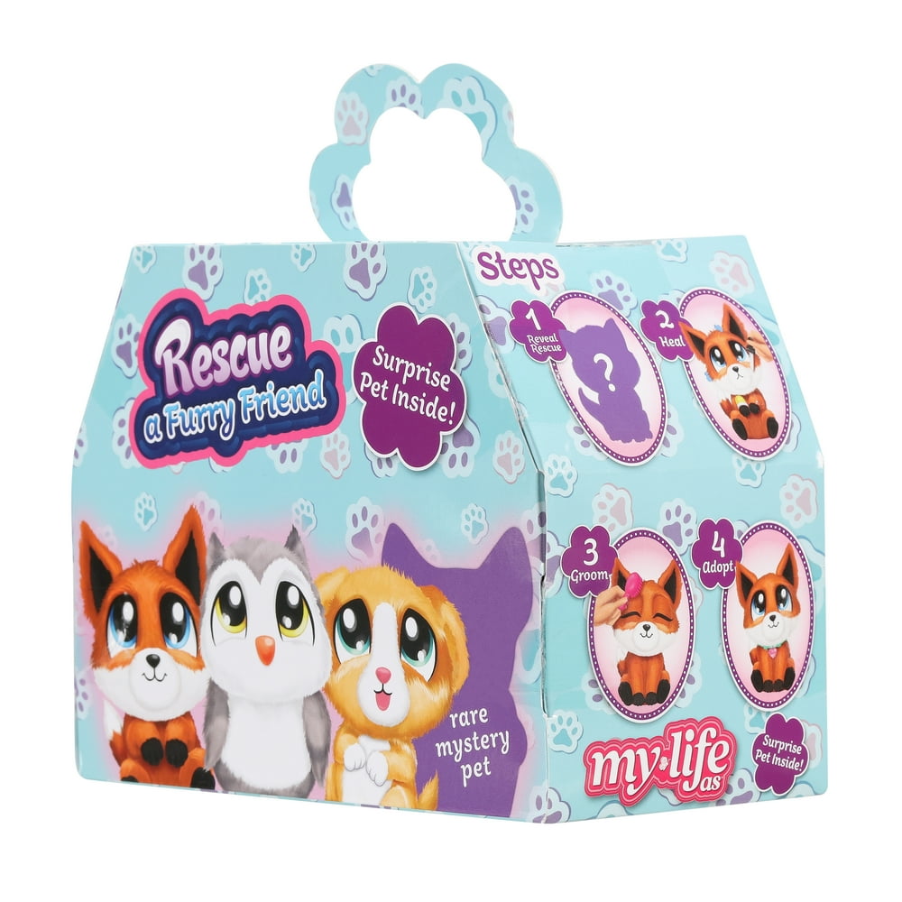toy pet in a box