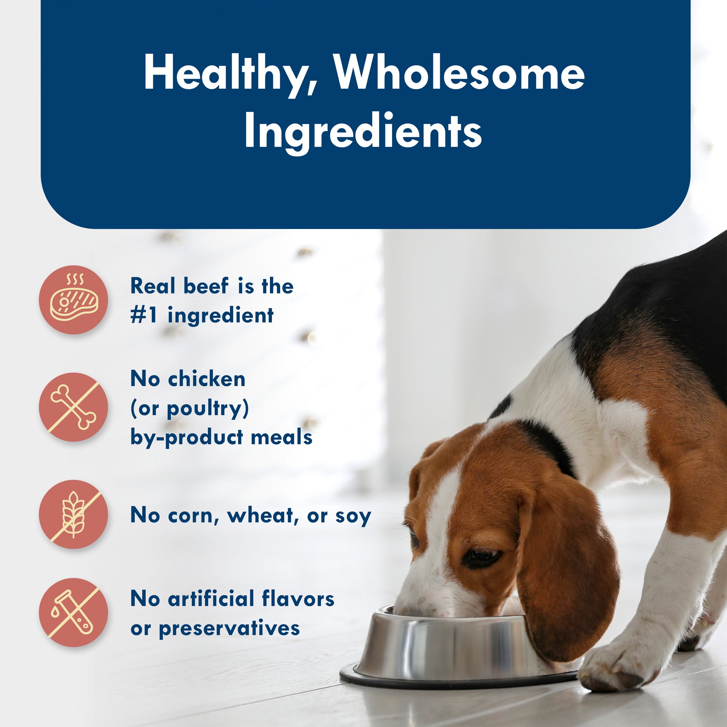 Blue Buffalo Delights Small Breed Prime Rib In Gravy Wet Dog Food for Adult Dogs, Grain-Free, 3.5 oz. Cup