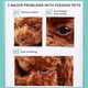 thumbnail image 4 of Mascotas Perros Gatos Toallas De Papel De Limpieza Ojos Toallitas Húmedas Quitamanchas Toallitas Suaves Suministros De Limpieza Eigraketly PT000912-00, 4 of 6
