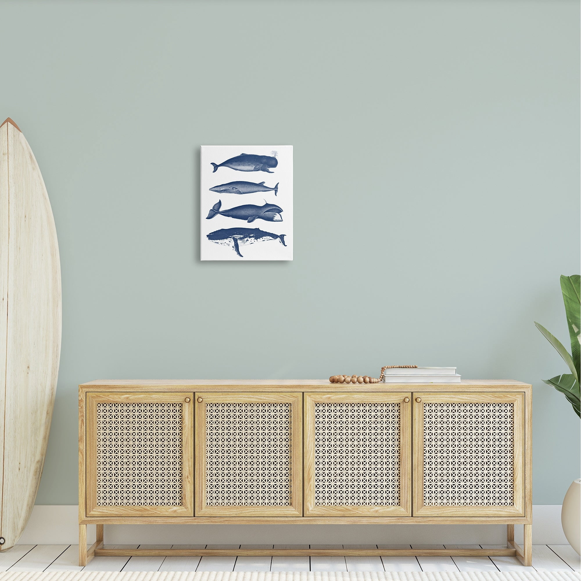 Stupell Industries Various Whales Types Sea Life Detailed Illustrations Graphic Art Gallery Wrapped Canvas Print Wall Art, Design by Lettered and Lined