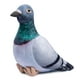 thumbnail image 1 of Juguete de peluche de paloma gris, simulación de roca Columba Rupestris, animal de peluche, lindo juguete de peluche de paloma de roca como regalo para tus amigos, 1 of 4