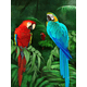 thumbnail image 1 of Cuadros Decorativos Kits de pintura de diamante DIY de la serie Animal de loro taladro redondo completo 30x40cm (QQ098) Wdftyju embutido en tela, 1 of 2