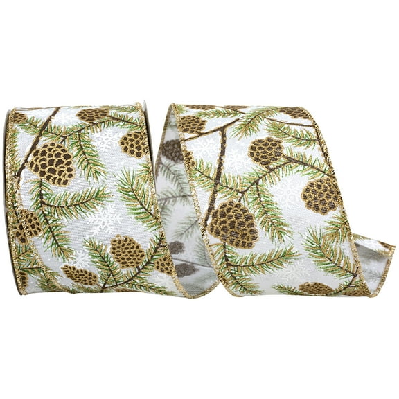 Reliant Ribbon - 94478W-030-40F, Ribbon, White, 2-1/2 Inch, 10 Yards