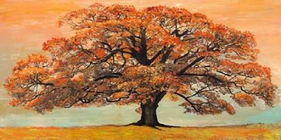 Oak Canvas Art - Ja