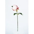 thumbnail image 2 of Allstate Floral & Craft FSP701-PK 18 in. Silk Peony Bud Flower Spray - Pink, 2 of 4