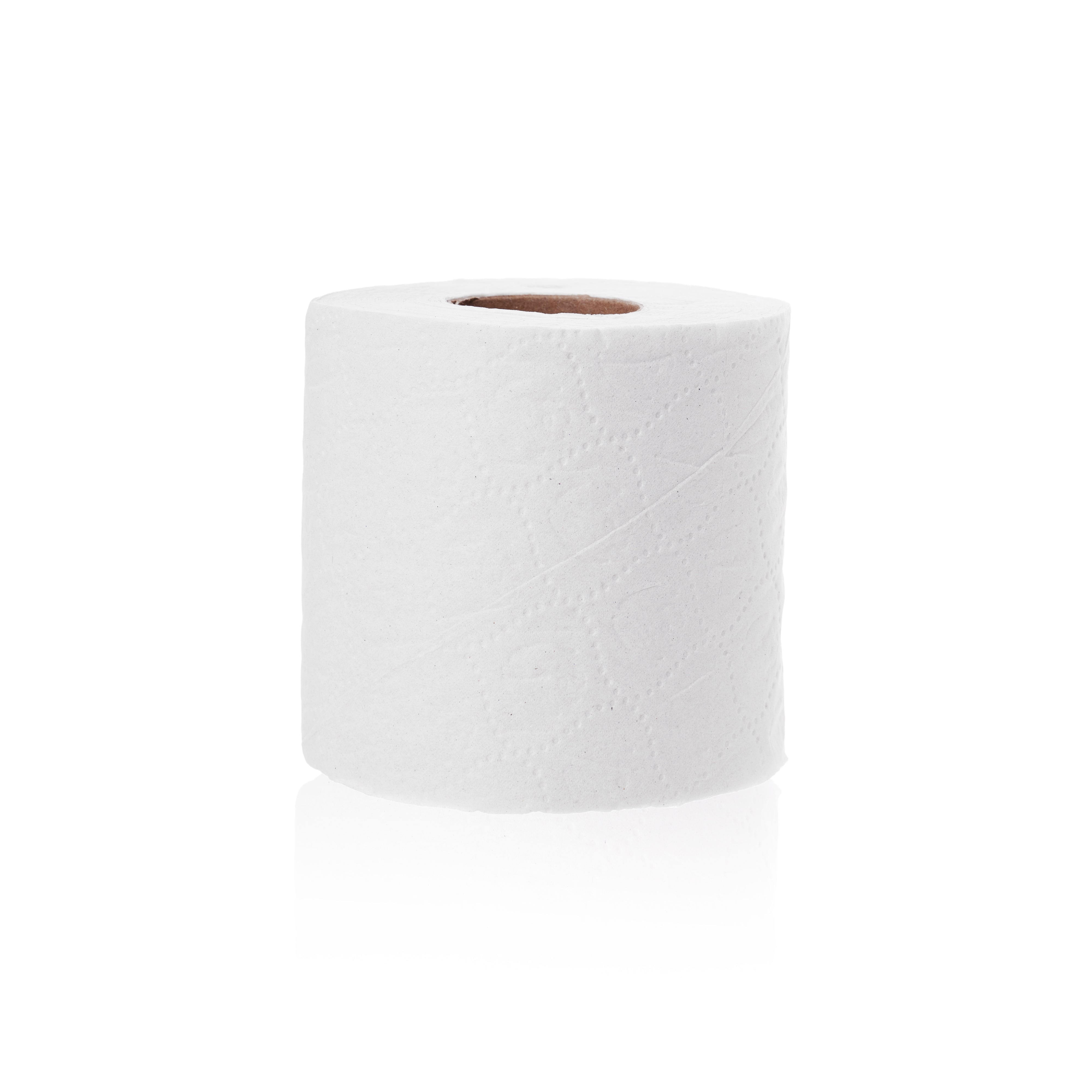Bumroll USA, 96 Premium Earth Friendly Soft Toilet Paper Rolls - Soft, Absorbent & Eco-Friendly Bathrooms Tissue Rolls for Home & Office - Septic Safe & RV-Friendly - Bulk Toilet Paper