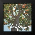 thumbnail image 2 of Prime, Marcus 20x20 Black Modern Framed Museum Art Print Titled - California Orange 1, 2 of 5