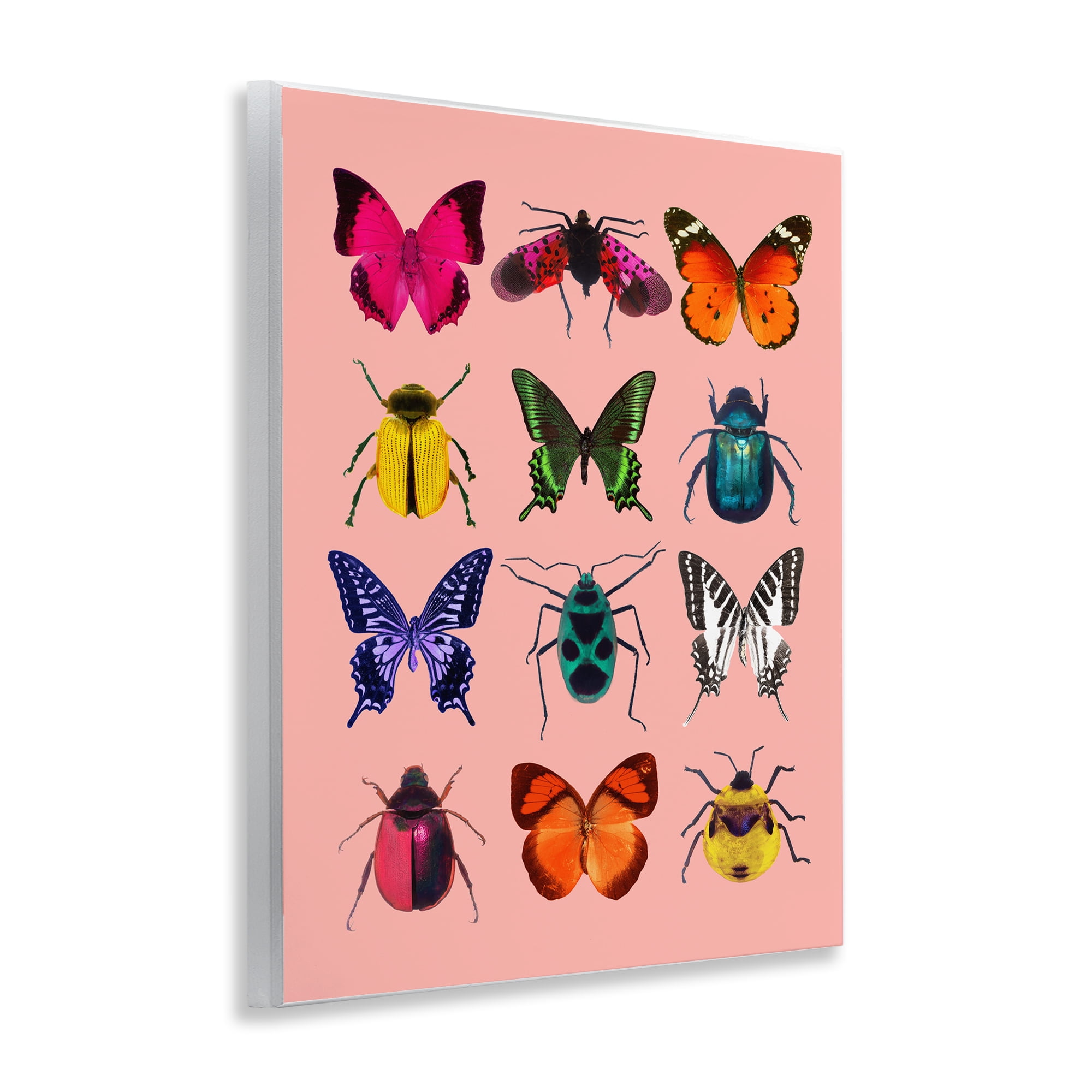 Colorful Bug Species on Pink Wall Plaque Art, design by LISH Creative