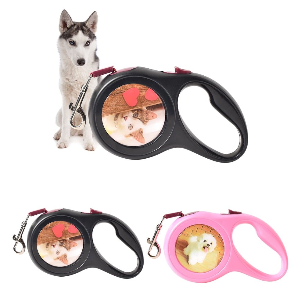retractable outdoor dog leash