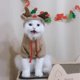 thumbnail image 2 of Ropa para mascotas jinwen con capucha mono de algodón suave al aire libre cálido de invierno Alce XXL, 2 of 7
