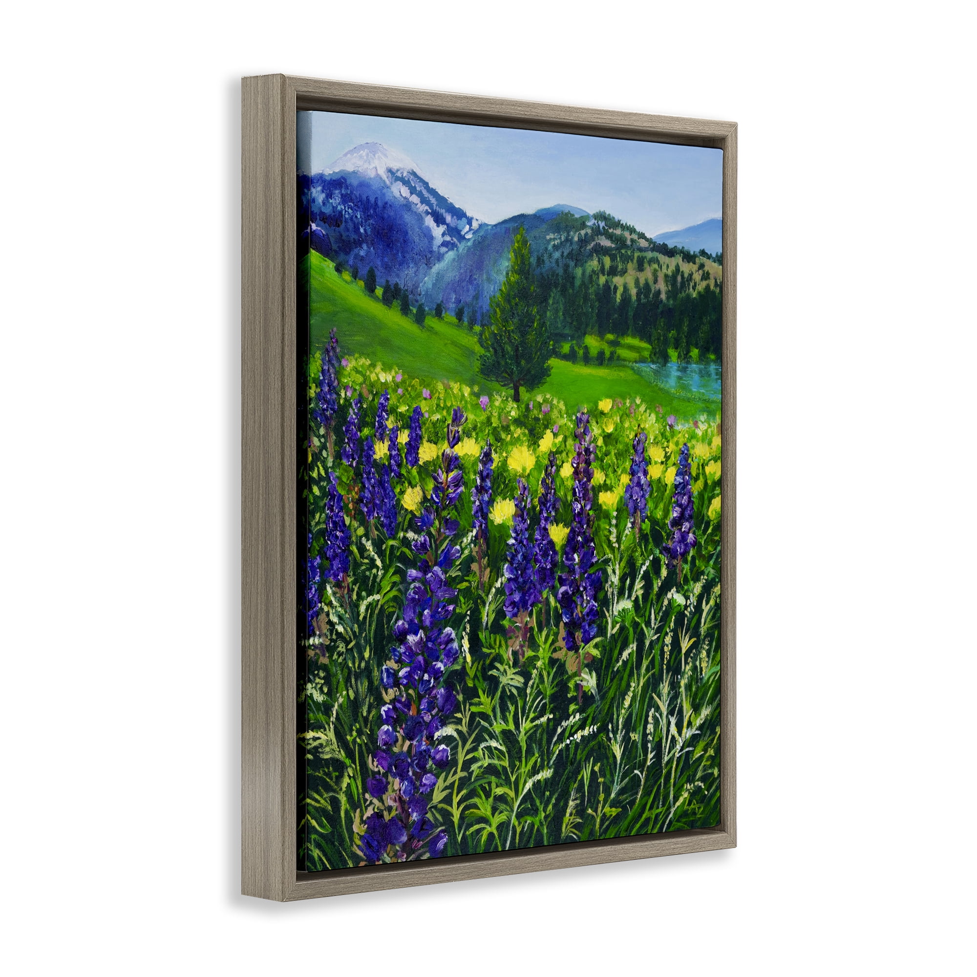 Stupell Industries Flower Speckled Valley Brown Framed Floater Canvas Wall Art, design by Lee Ann Zirbes