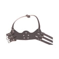 thumbnail image 4 of Muselière Anti-aboiement pour Les Grands Chiens de Petite Taille Moyenne M esquí esquí Gafas de esquí, 4 of 5