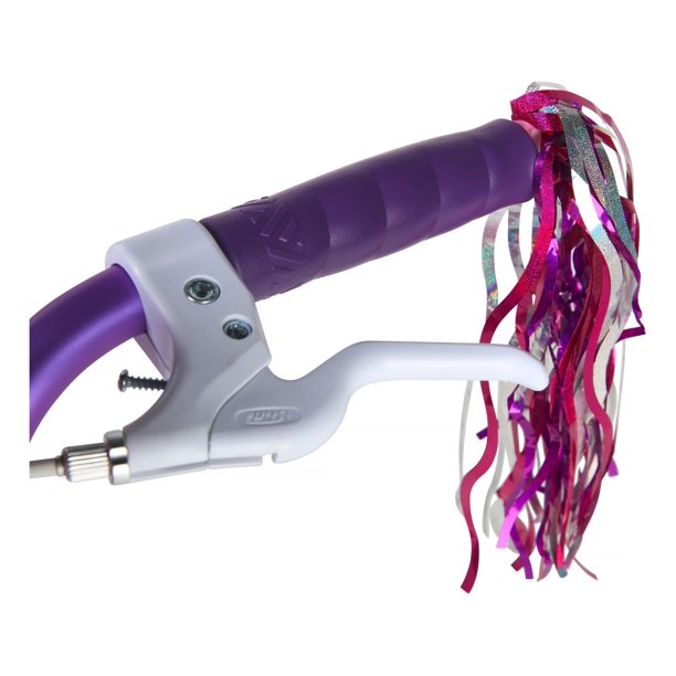 Dynacraft Bicycles for Grade School Classroom Mechanics