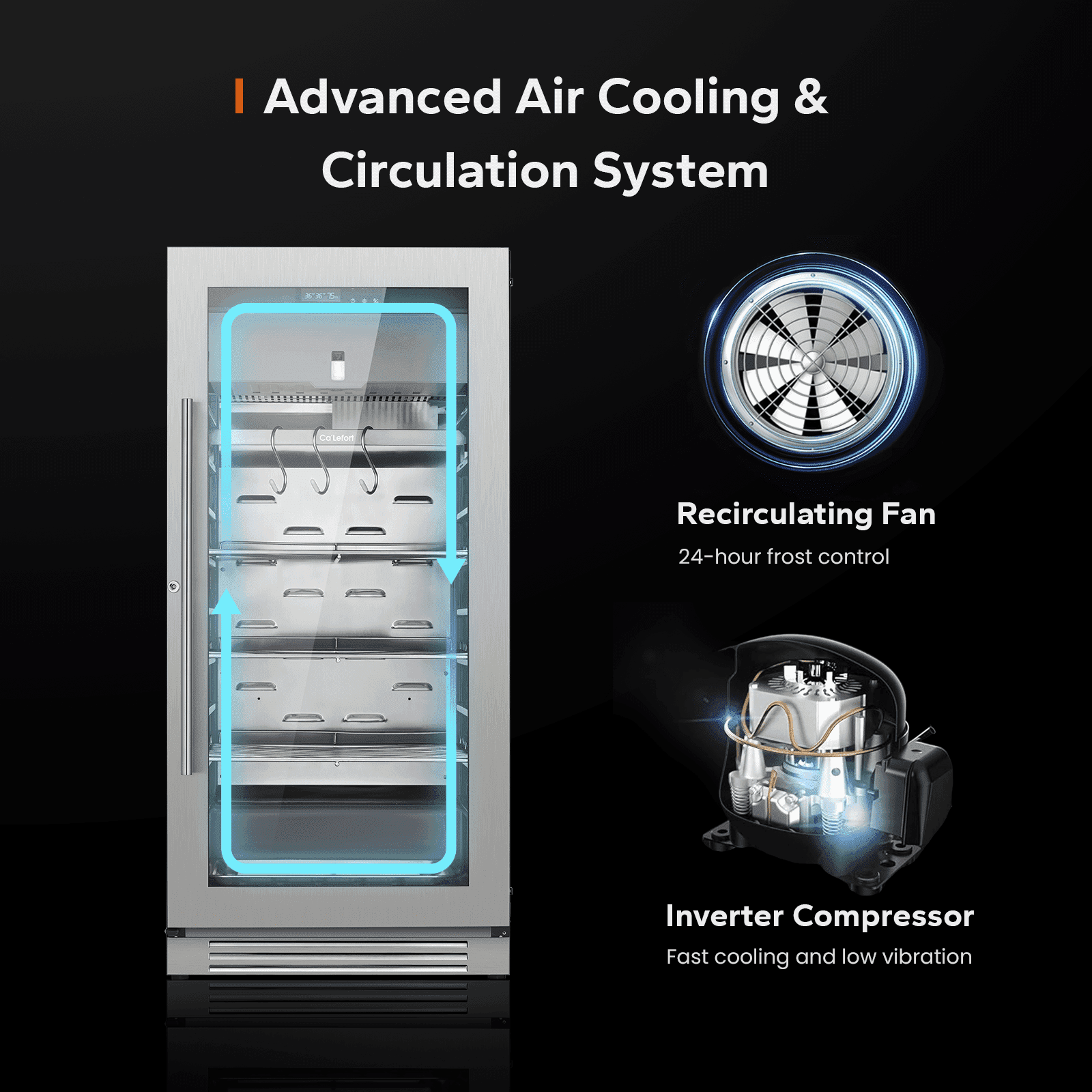Ca'Lefort Dry Aging Fridge for Steaks, 8.23 cu.ft. Meat Ager Refrigerator for Restaurant/Bar/Kitchen/Home with Dual-Layer LOW-E Glass