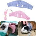thumbnail image 4 of Diconna Squirrel Traction Rope Little Pet Vest Striped Corset Chest Strap, 4 of 5