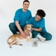 thumbnail image 3 of Recipiente hermético para comida de perro con tapa para encimera de cocina, tarro metálico para golosinas de perro, contenedor de comida seca de hierro para cachorros, para dueños de mascotas., 3 of 3