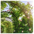 thumbnail image 3 of Metal Garden Arch with Gate 79.5''x86.6'', Rose Arch Trellis for Climbing Plants Outdoor - Black, Heavy Duty Steel Arbor with Planter Boxes, 3 of 9