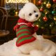 thumbnail image 1 of Camiseta multicolor para perro y gato pequeño | Camisa de poliéster suave y transpirable con botones ocultos en pajarita | Ropa casual ligera de otoño e invierno | Talla S M L Incluido | 1 pieza, 1 of 6
