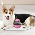thumbnail image 2 of Valentine's Day Dog Toys Enrichment Puzzle Food Dispenser Toy IQ Training for Small Medium Dog Suitable for Cute Pets, 2 of 4