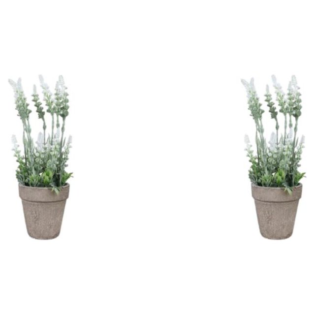 Monstrate Flor de simulación para un fácil cuidado y belleza natural, aire fresco, arreglo ecológico, planta artificial en maceta verde y blanco 2Conjunto