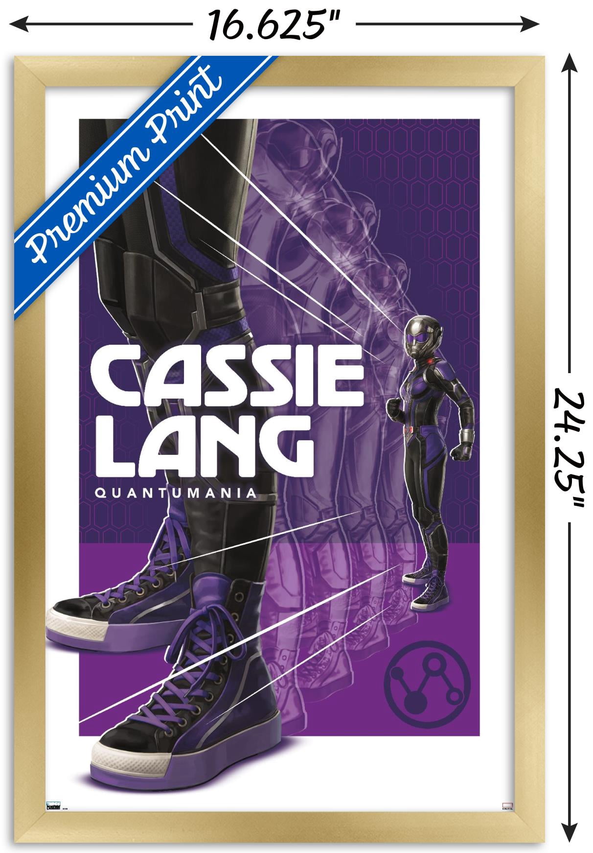 Marvel Ant-Man And The Wasp: Quantumania - Cassie Lang Wall Poster, 14.725" x 22.375" Framed