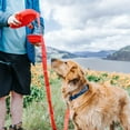 thumbnail image 2 of 3 in 1 Dog Leash with Water Bottle, Portable Pet Walking Leash with Built-in Water Dispenser, Hands Free Hydration for Outdoor Dog Walks，A, 2 of 2