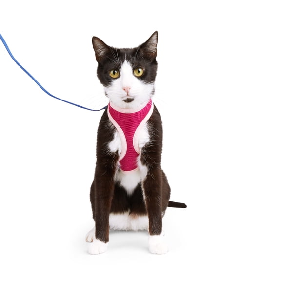 YOULY Mesh Cat Harness & Leash Set Pink & Purple Medium