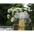 thumbnail image 2 of Pichel Prodyne Infusión Fruta Transparente, 2 of 9