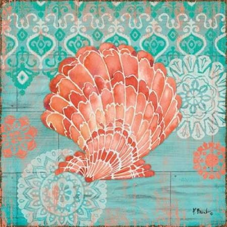 24 Coral Shell - Coral Cove Shells I Stretched Canvas - Paul Brent (24 x 24)