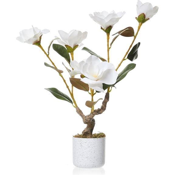 1/2 Pc Artificial Magnolia & Orchid Trees in Pot, PEVA Polyester Faux Plants with White Planter, 24/31/37" for Home Office Decor