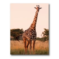 Designart ' African Giraffe In The Wildlife I ' Farmhouse Canvas Wall Art Print