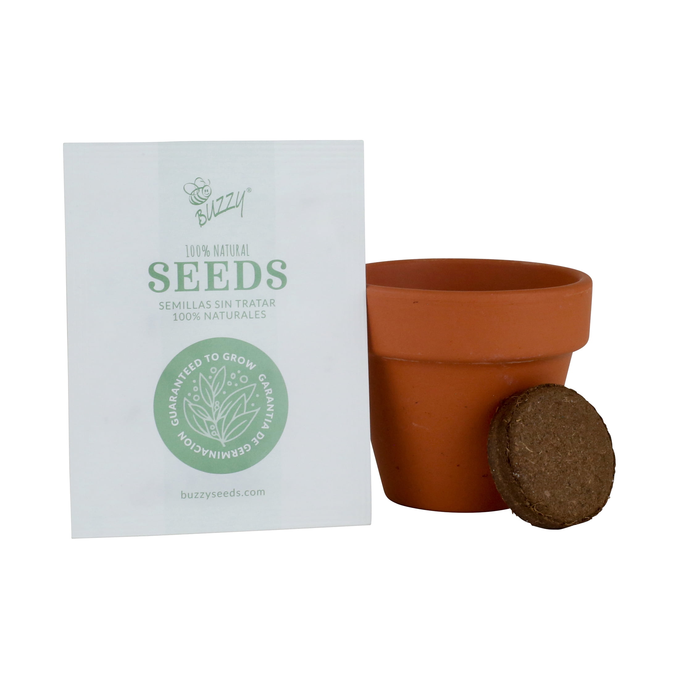 Buzzy Daisy Flower Grow Kit Mini Terracotta Pot Item 97716