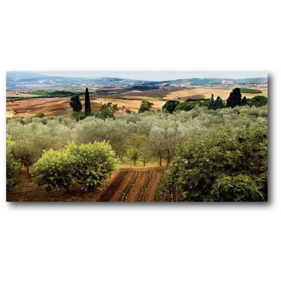 Wine Country I Gallery-Wrapped Canvas Wall Art, 12x24