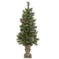 thumbnail image 3 of Northlight Pre-Lit Battery Operated Frosted Verona Berry Pine Artificial Christmas Set - 5-Piece -, 3 of 8